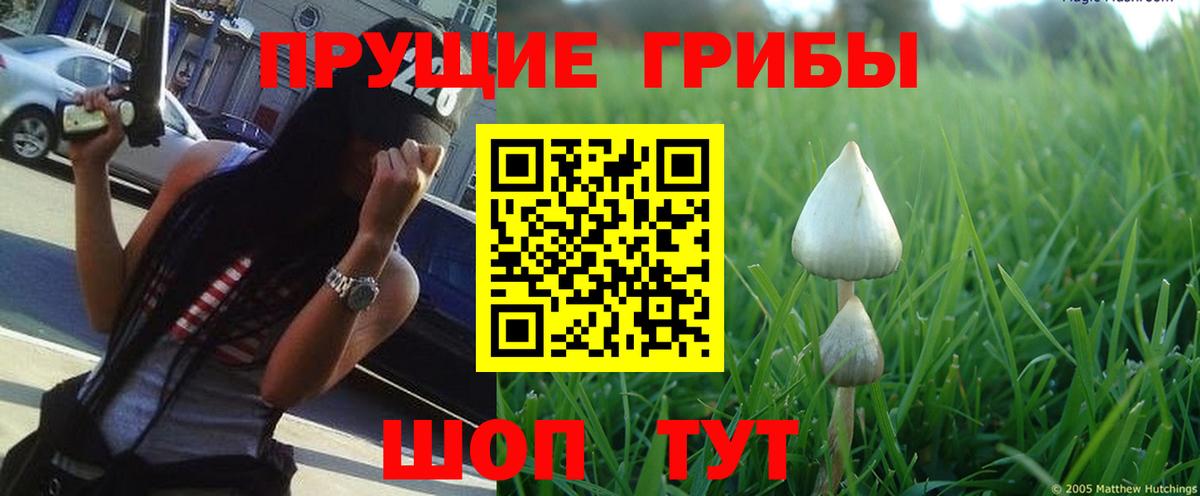 Галлюциногенные грибы мухоморы  Вход с VPN  где можно купить наркотик  Псилоцибиновые грибы Cubensis  Баксан 